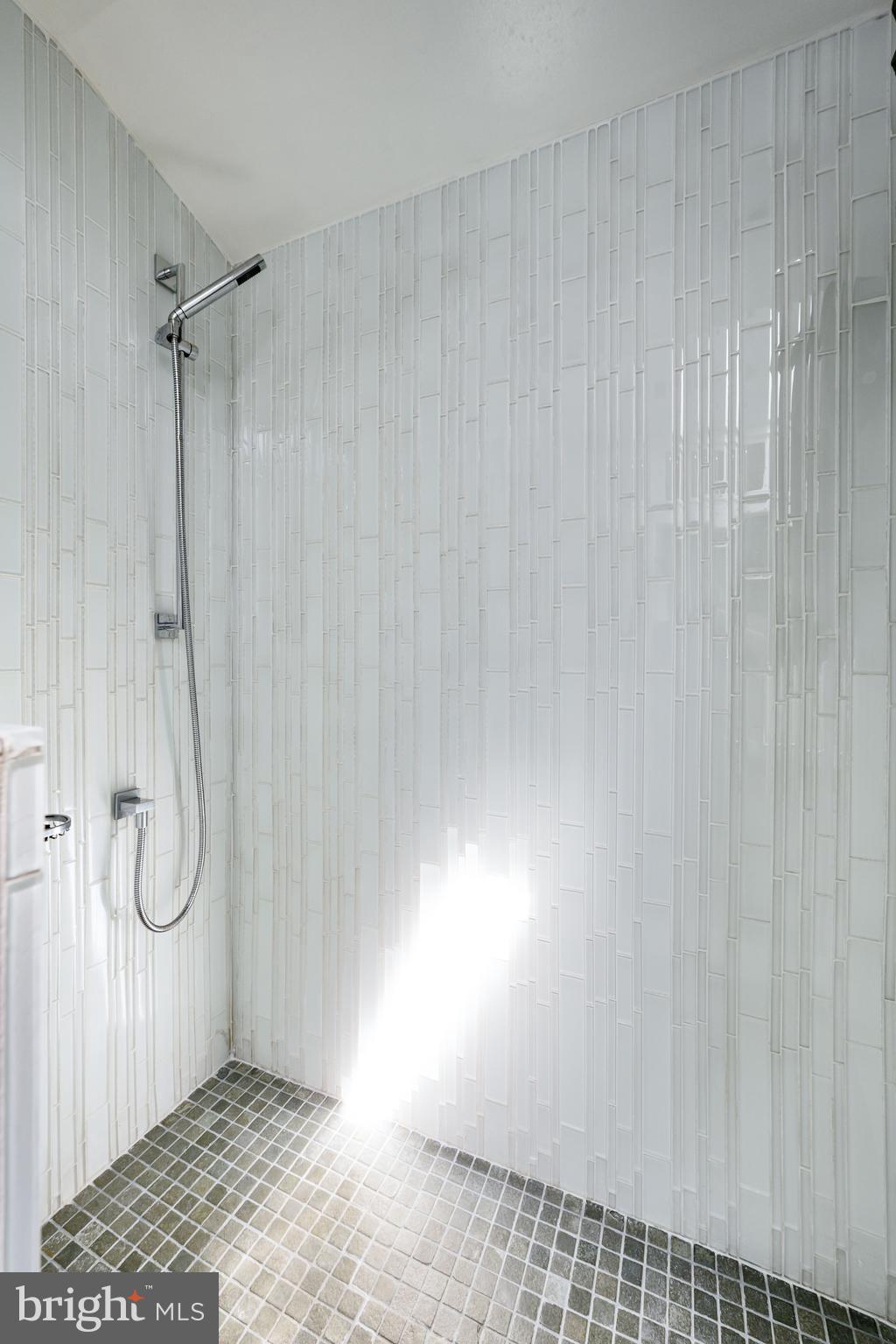 511 Queen Street Alexandria, VA 22314 - Photo 36 of 58 a view of a room with a shower