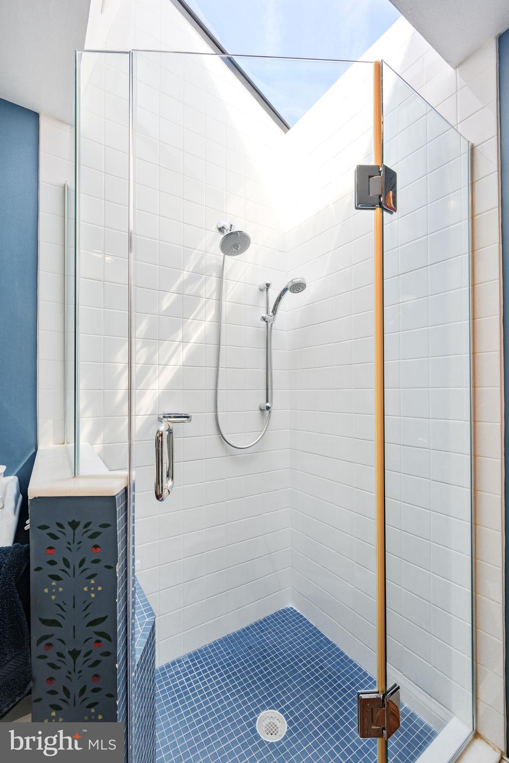 511 Queen Street Alexandria, VA 22314 - Photo 48 of 58 2nd Bathroom - Skylight in Shower