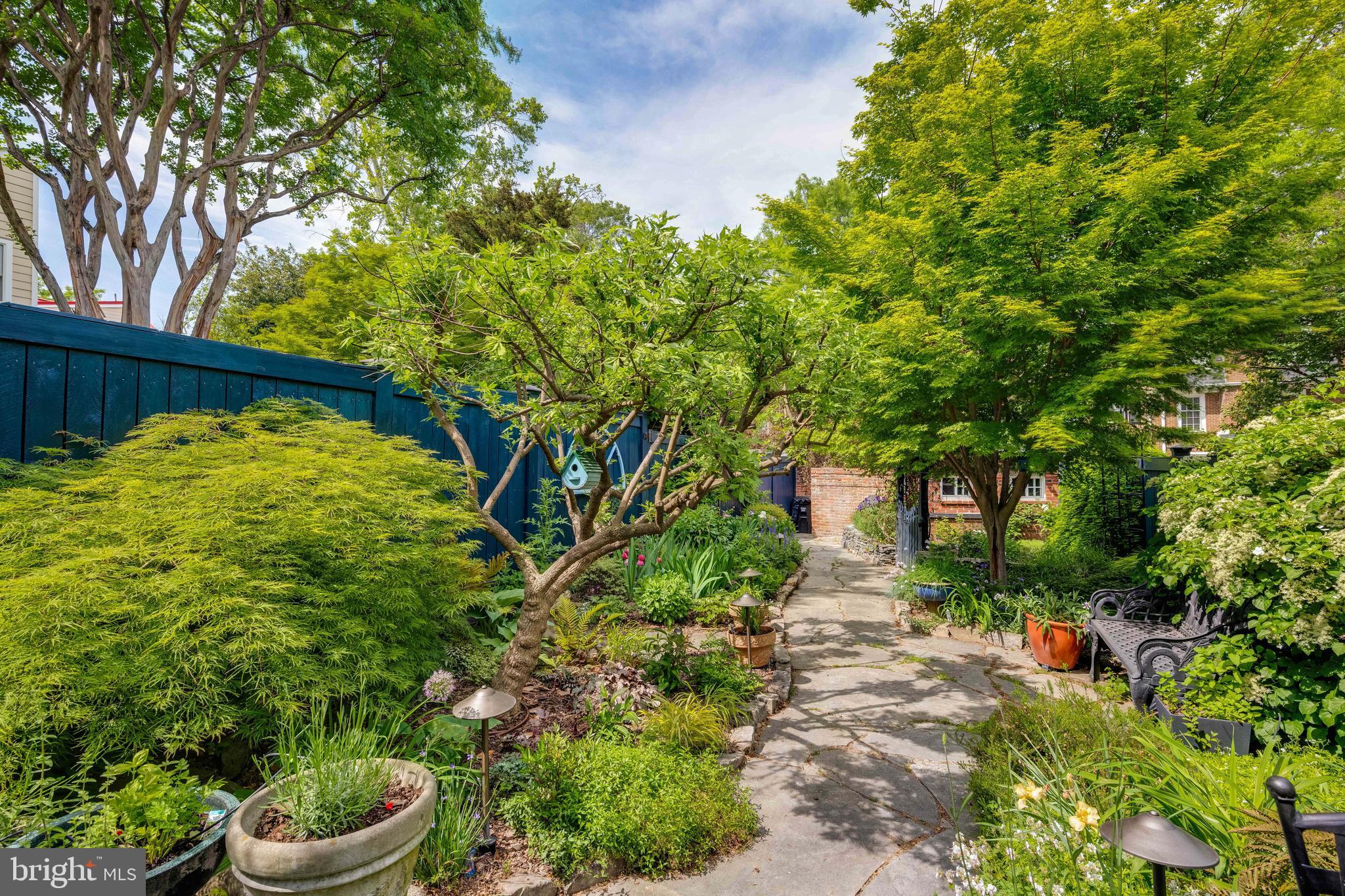 511 Queen Street Alexandria, VA 22314 - Photo 54 of 58 a pathway of a garden