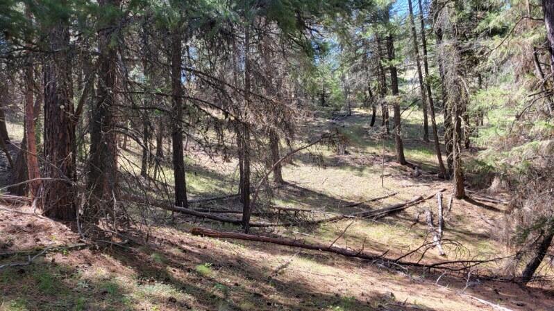 1315 Lofton Creek Road Prineville, OR 97754 - Photo 20 of 61 image000000 (9)