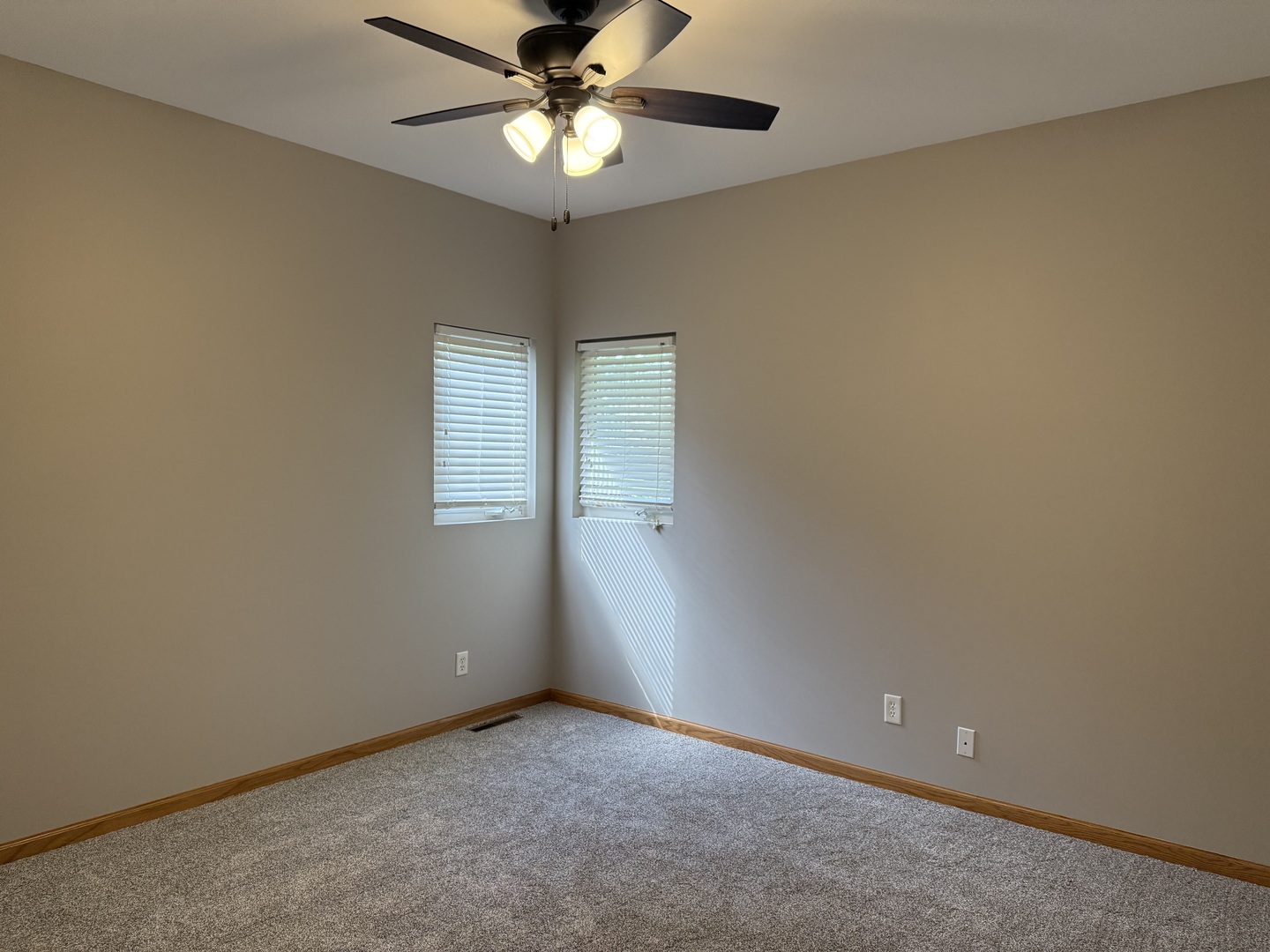 311 West Franklin Street Princeton, IL 61356 - Photo 12 of 19 an empty room with a chandelier fan and windows