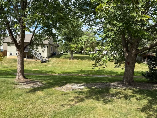 a view of a trees in a yard