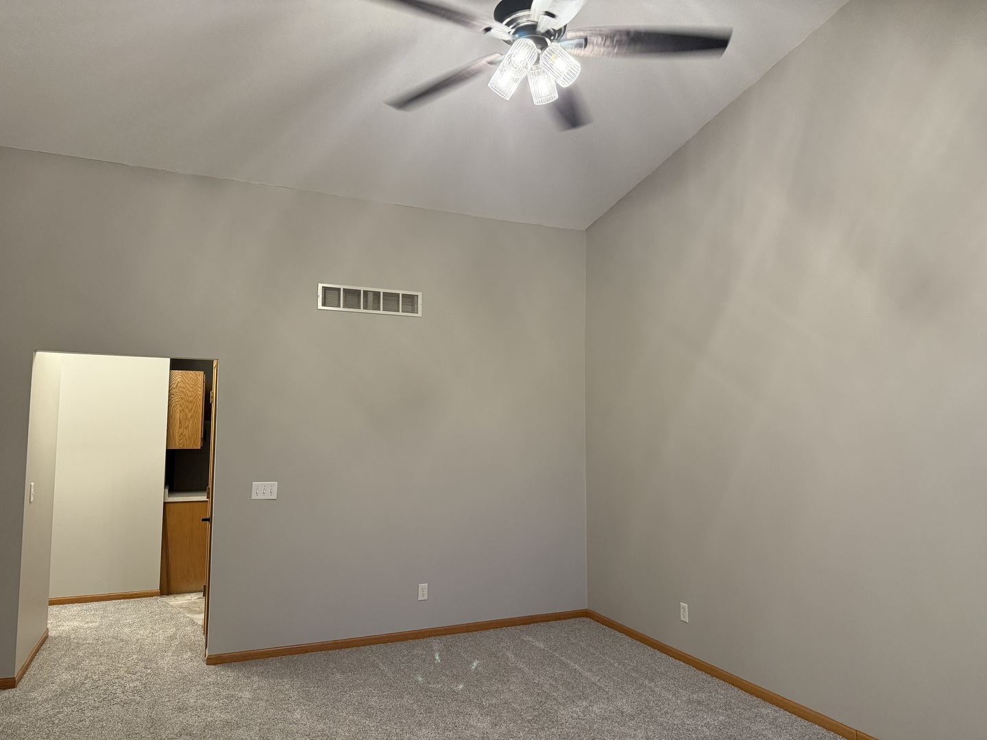 311 West Franklin Street Princeton, IL 61356 - Photo 9 of 19 an empty room with windows and fan