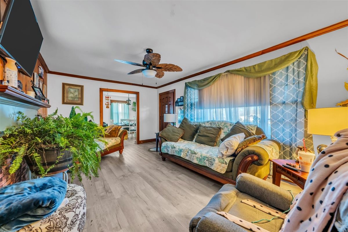 3133 Academy Road Portland, TN 37148 - Photo 6 of 24 a living room with furniture and a potted plant