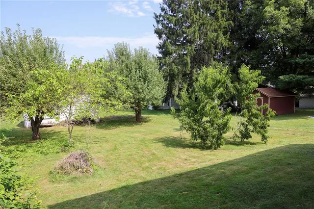 a view of yard with green space