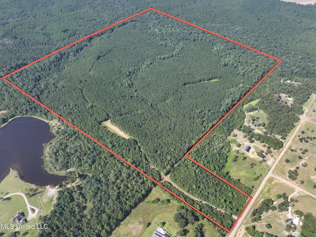 $1,200,000 | 0 Buddy Finch Road, Lucedale, MS 39452