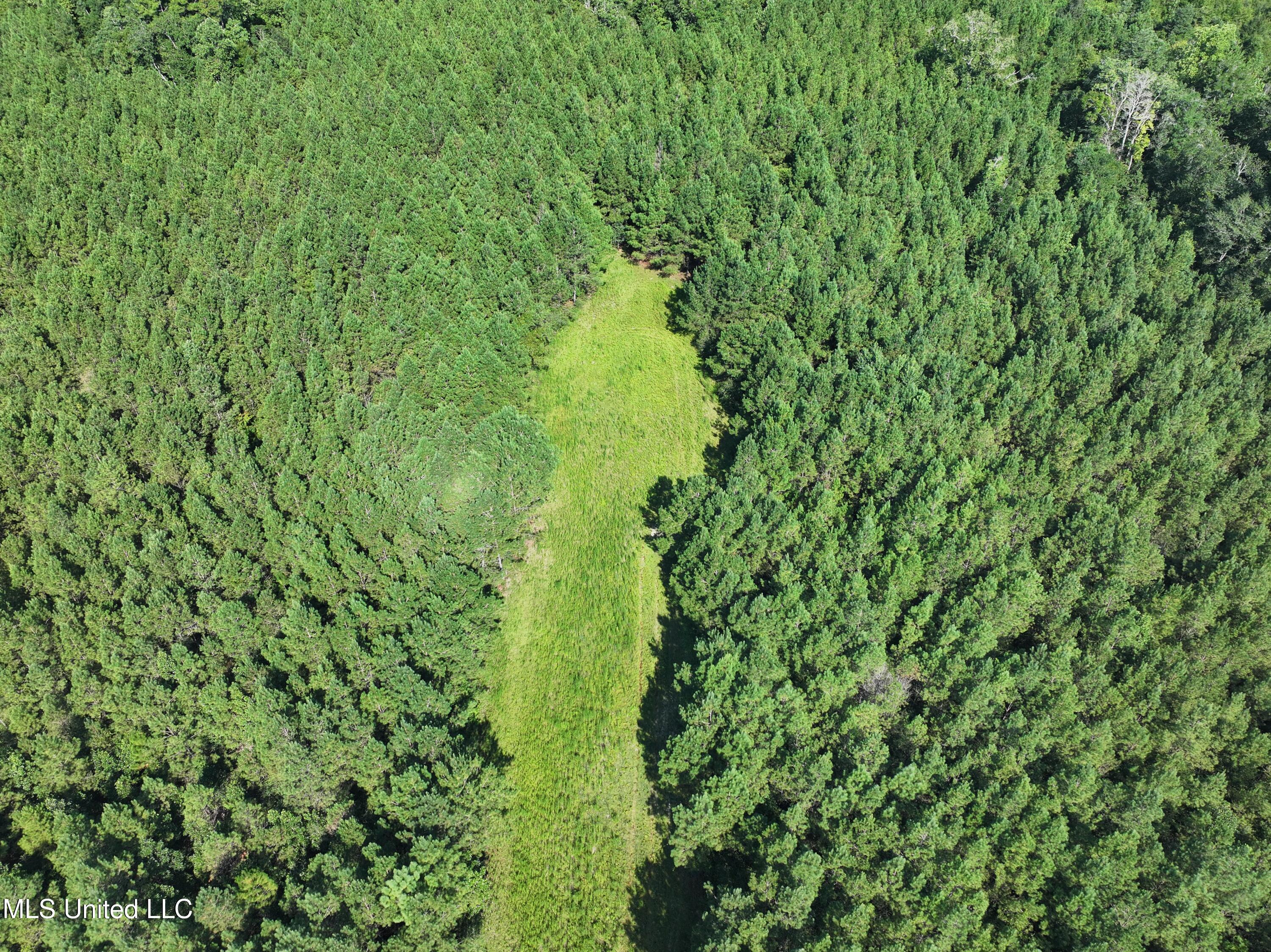 0 Buddy Finch Road Lucedale, MS 39452 - Photo 2 of 6 dji_fly_20250817_095716_0119_17554455886