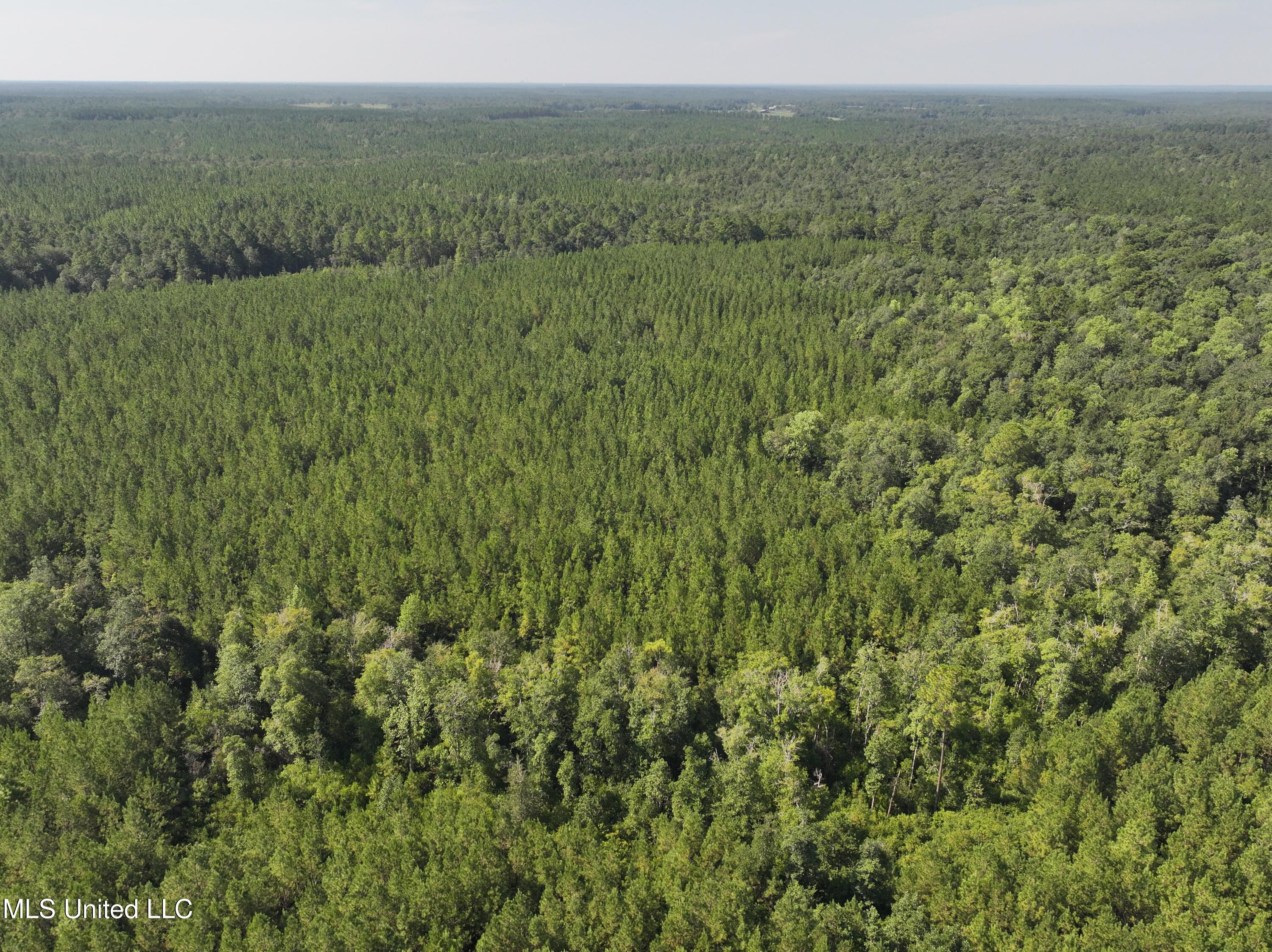 0 Buddy Finch Road Lucedale, MS 39452 - Photo 3 of 6 dji_fly_20250817_095804_0121_17554455839