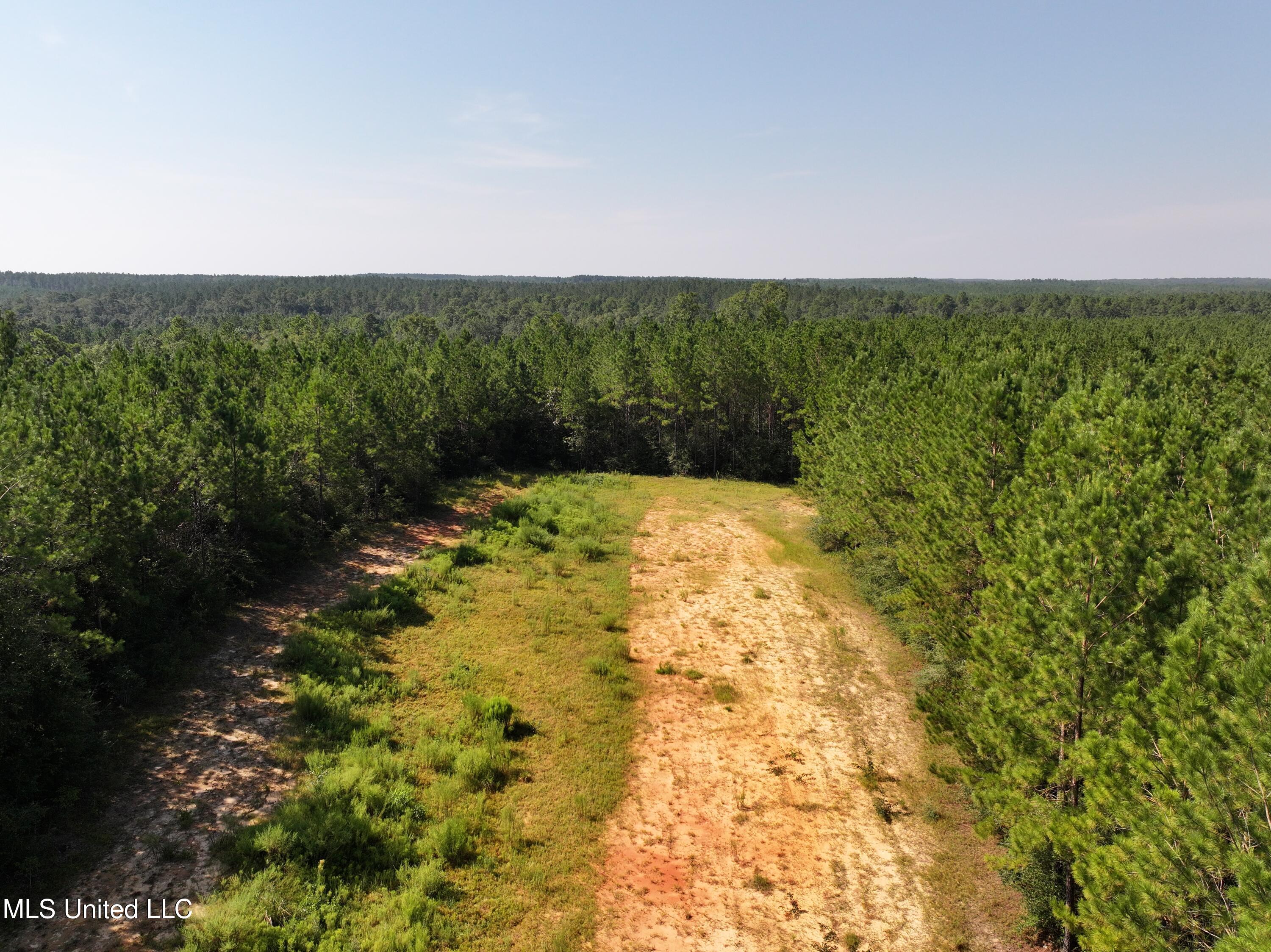 0 Buddy Finch Road Lucedale, MS 39452 - Photo 4 of 6 dji_fly_20250817_100418_0128_17554456190