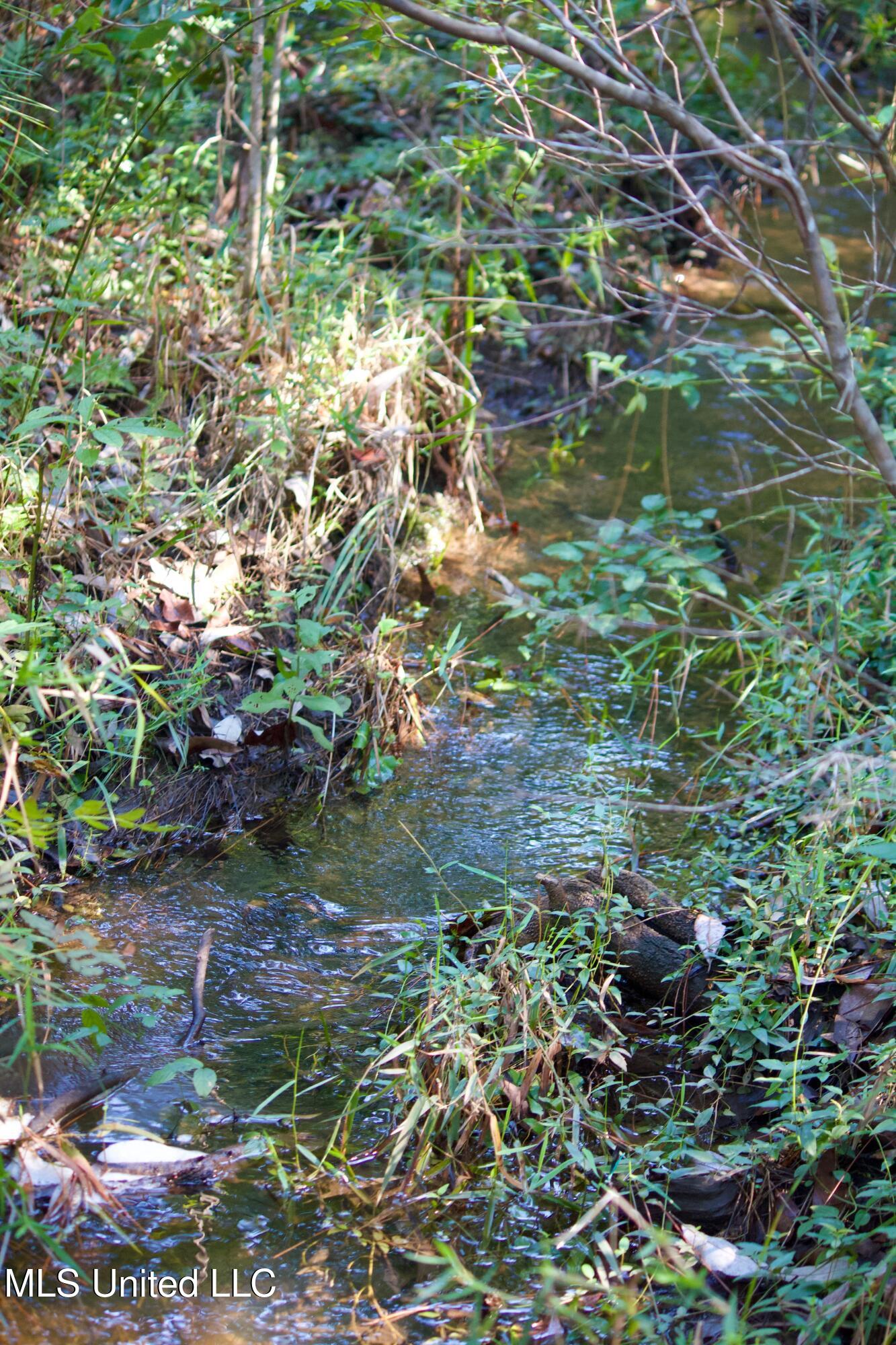0 Buddy Finch Road Lucedale, MS 39452 - Photo 5 of 6 IMG_7990