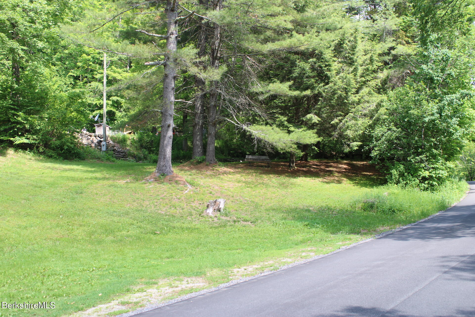 175 River Road Windsor, MA 01270 - Photo 3 of 22 a view of a backyard with large trees