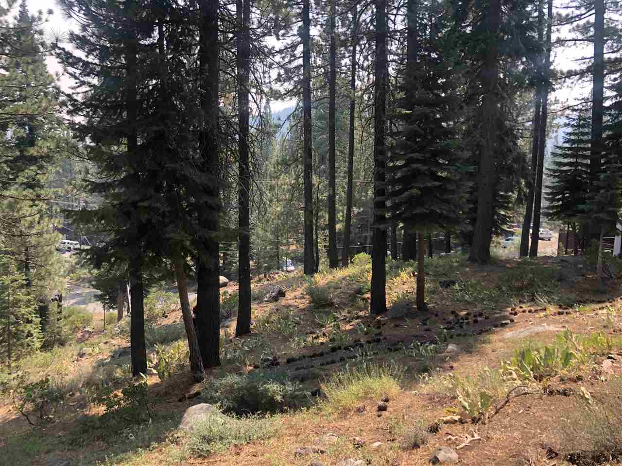 134 Tiger Tail Road Olympic Valley, CA 96146 - Photo 8 of 15 Gallery Image 8