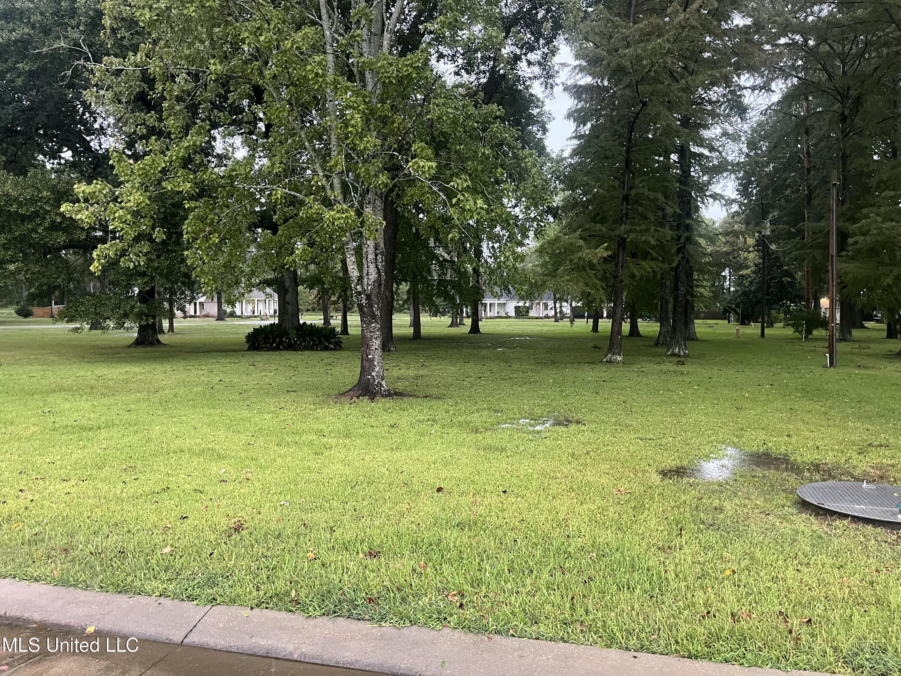 1 Colony Trail Vidalia, LA 71373 - Photo 2 of 6 IMG_2392