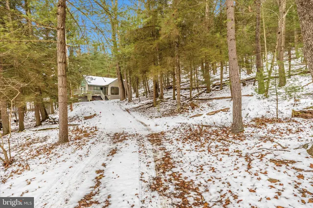 a view of a backyard of the house