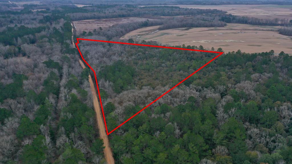 15.05 Pera Road Samson, AL 36477 - Photo 1 of 29