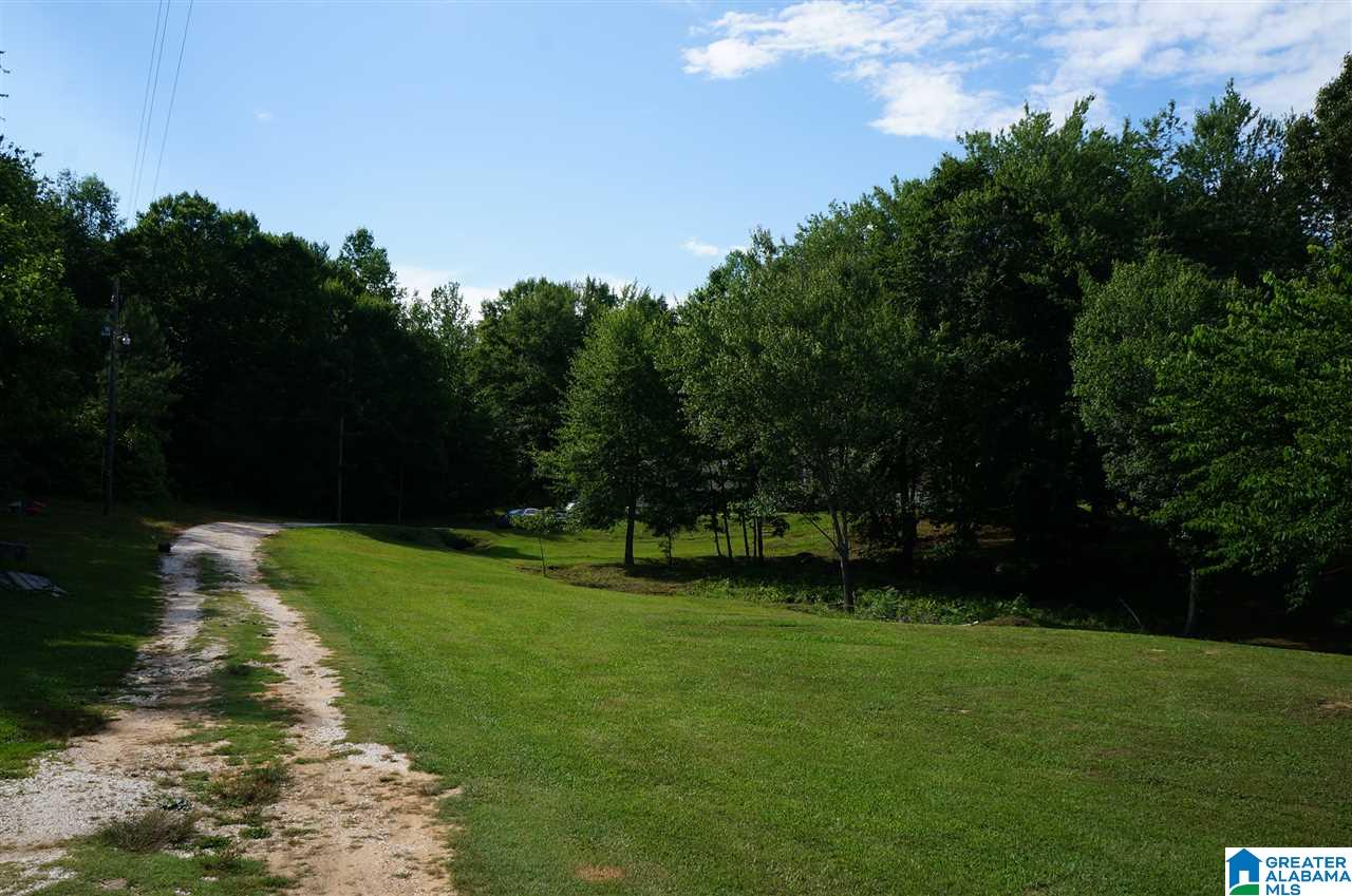 25355 Highway 9 Goodwater, AL 35072 - Photo 5 of 22
