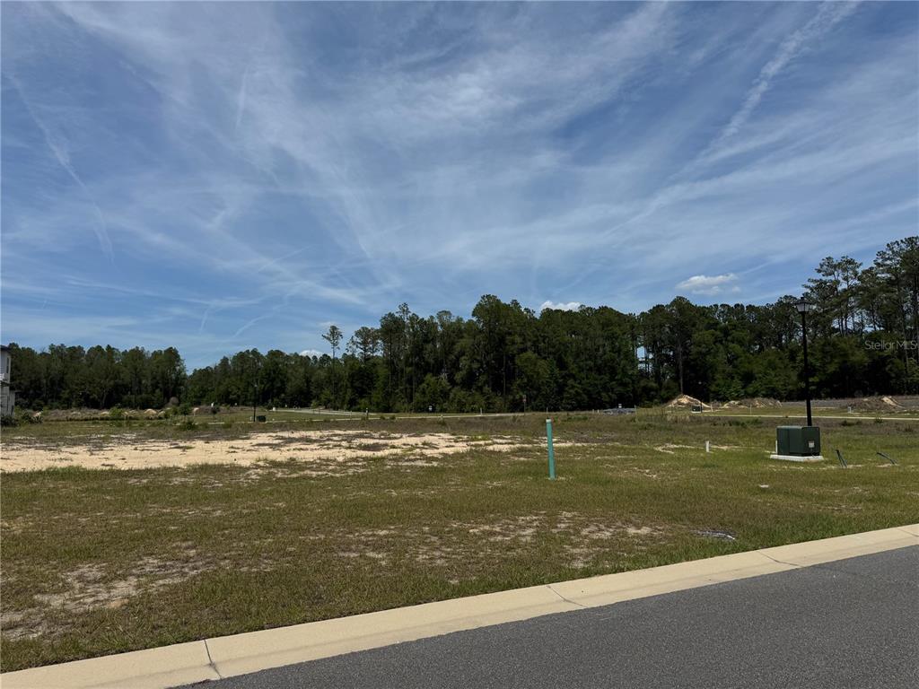 14772 Southwest 11th Road Newberry, FL 32669 - Photo 6 of 6 a view of a lake with a big yard