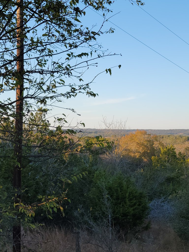 137 Birch Road, Unit 29/2 Fredericksburg, TX 78624 - Photo 4 of 5 Gallery Image 4