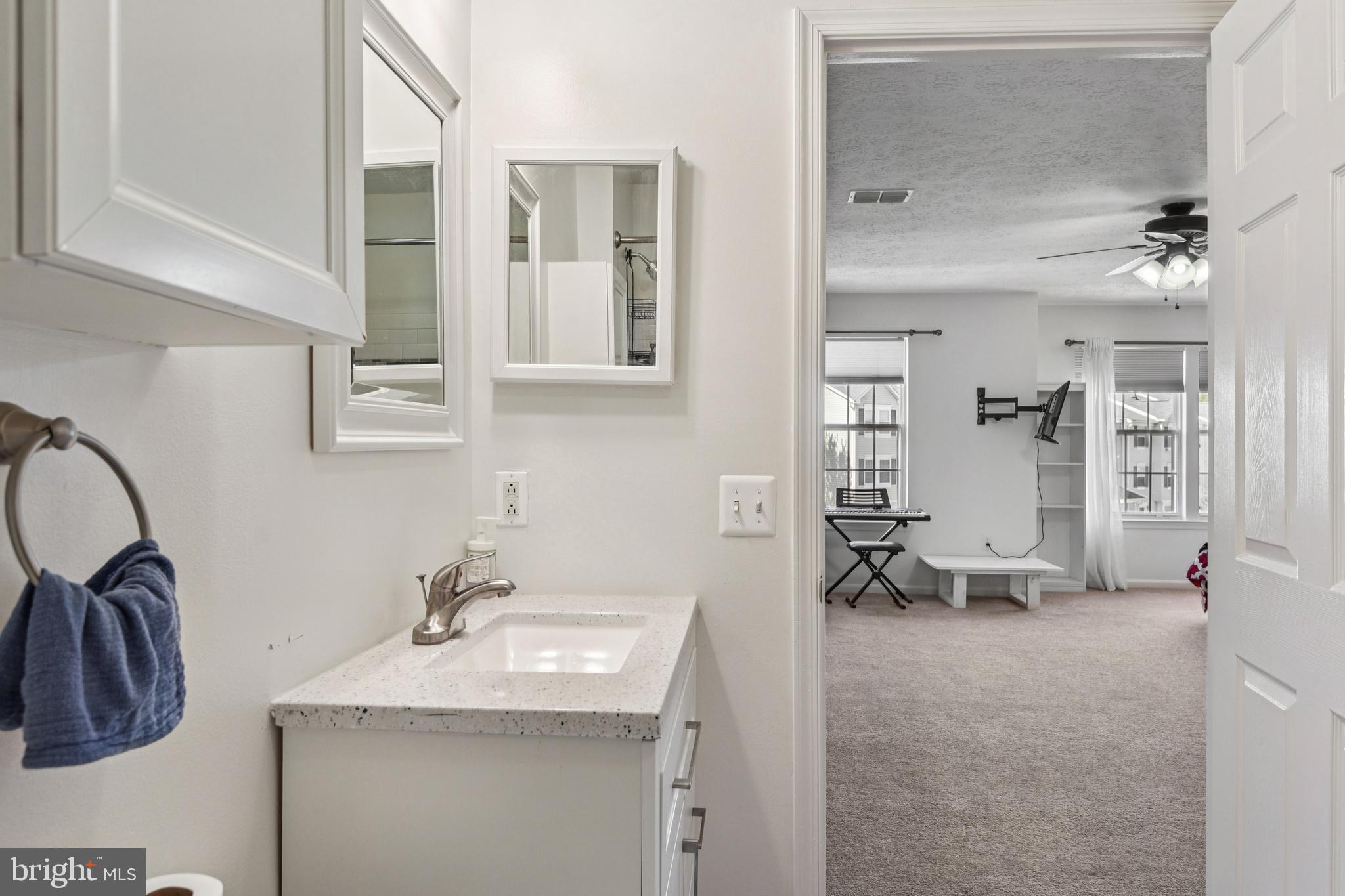 4266 Maple Path Circle, Unit 3 Baltimore, MD 21236 - Photo 21 of 24 Primary Bathroom