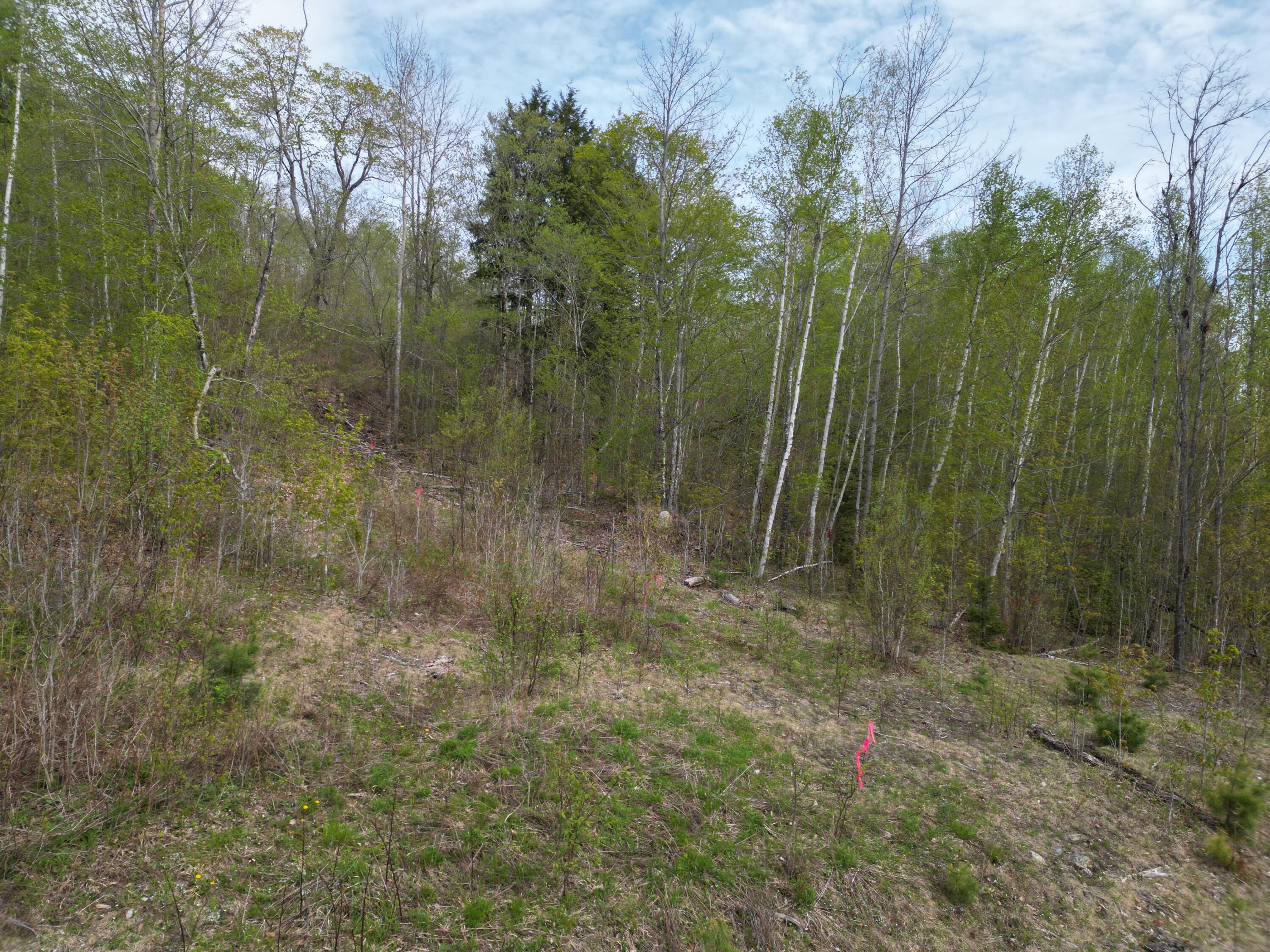 Lot 9 W Road Brewer, ME 04412 - Photo 4 of 12 DJI_0441
