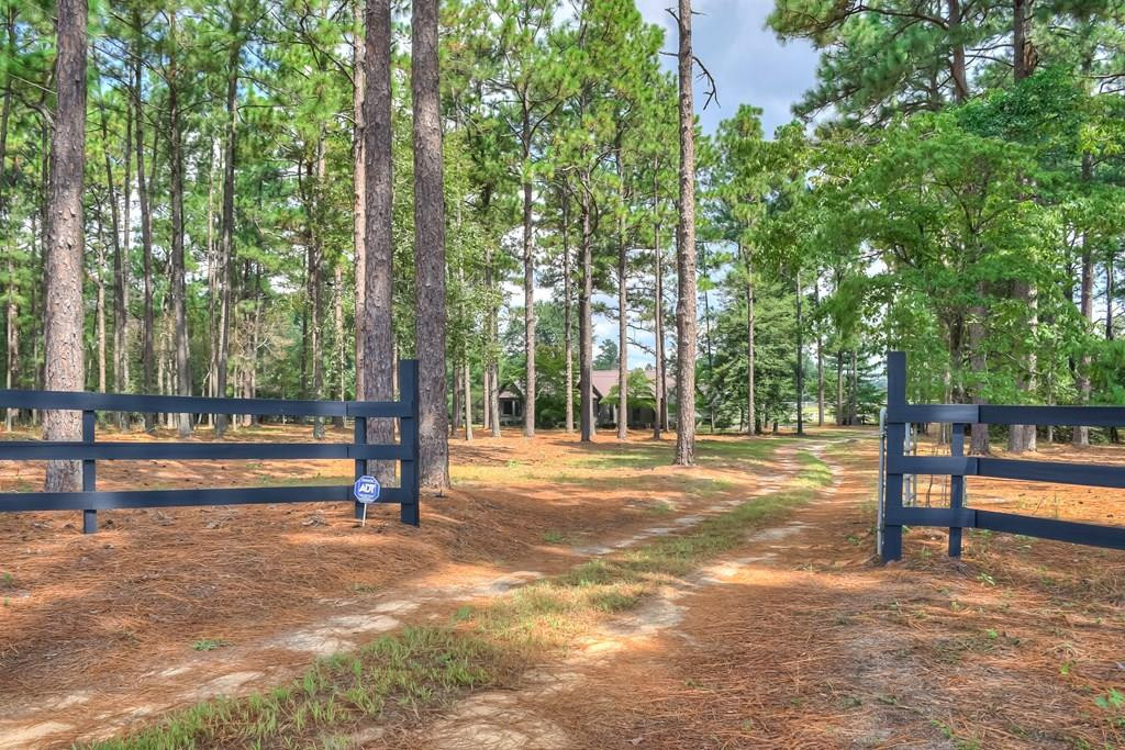 295 Fox Pond Road Aiken, SC 29801 - Photo 8 of 53