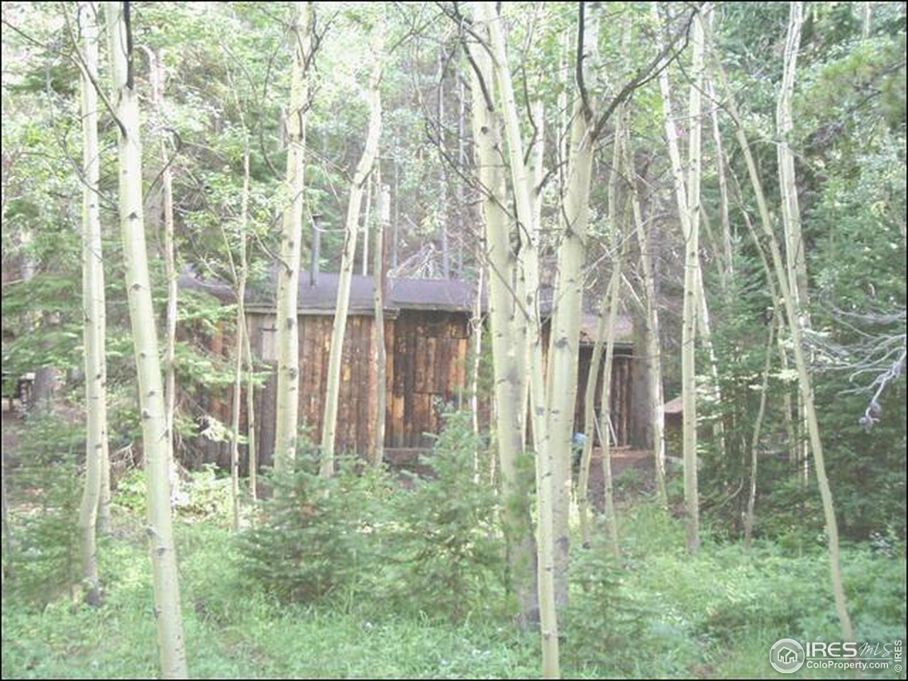 1344 Tolland Road Black Hawk, CO 80422 - Photo 2 of 5 Gallery Image 2