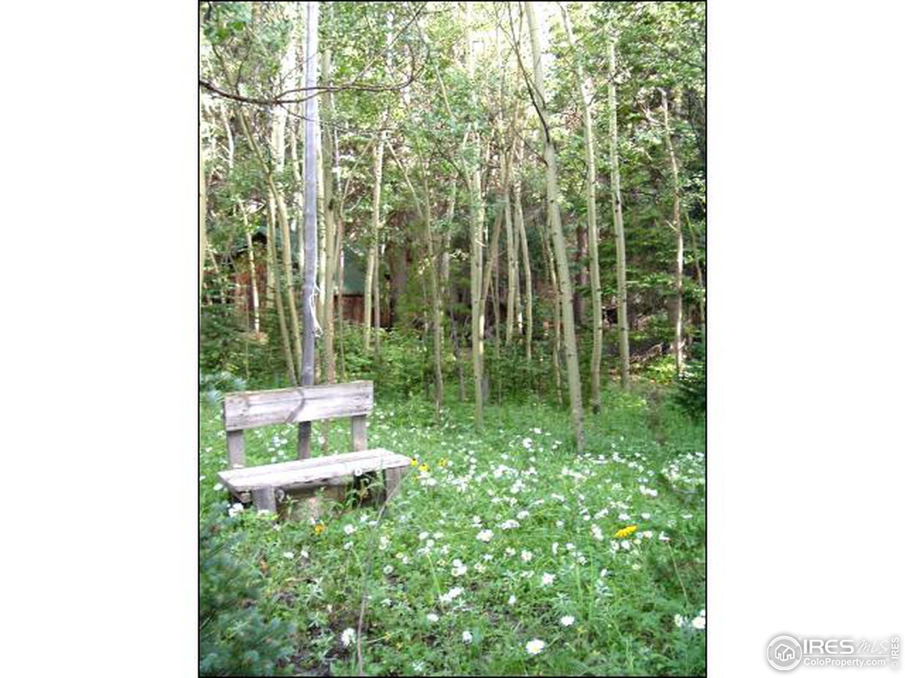 1344 Tolland Road Black Hawk, CO 80422 - Photo 4 of 5 Gallery Image 4