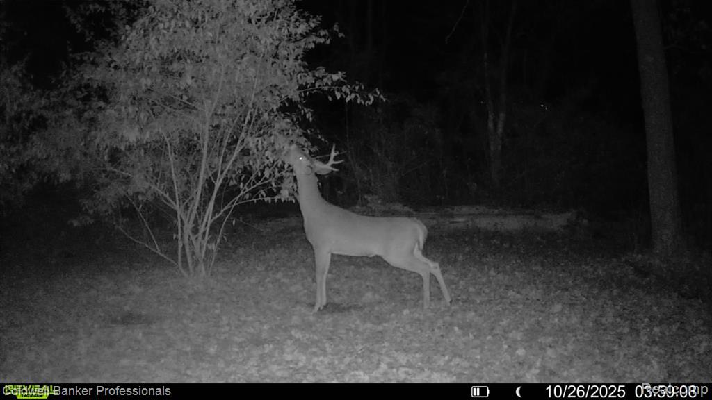Vl Rattle Run Road St. Clair, MI 48079 - Photo 6 of 45 Gallery Image 6