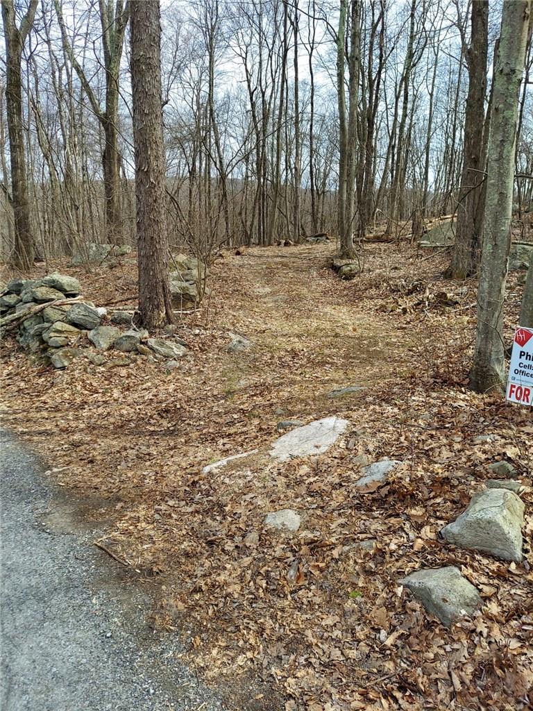 489 Grape Hollow Road Holmes, NY 12531 - Photo 1 of 24 one of four driveway locations