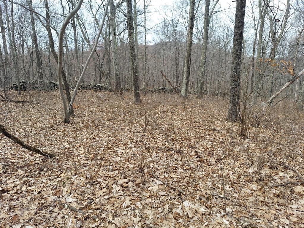 489 Grape Hollow Road Holmes, NY 12531 - Photo 12 of 24