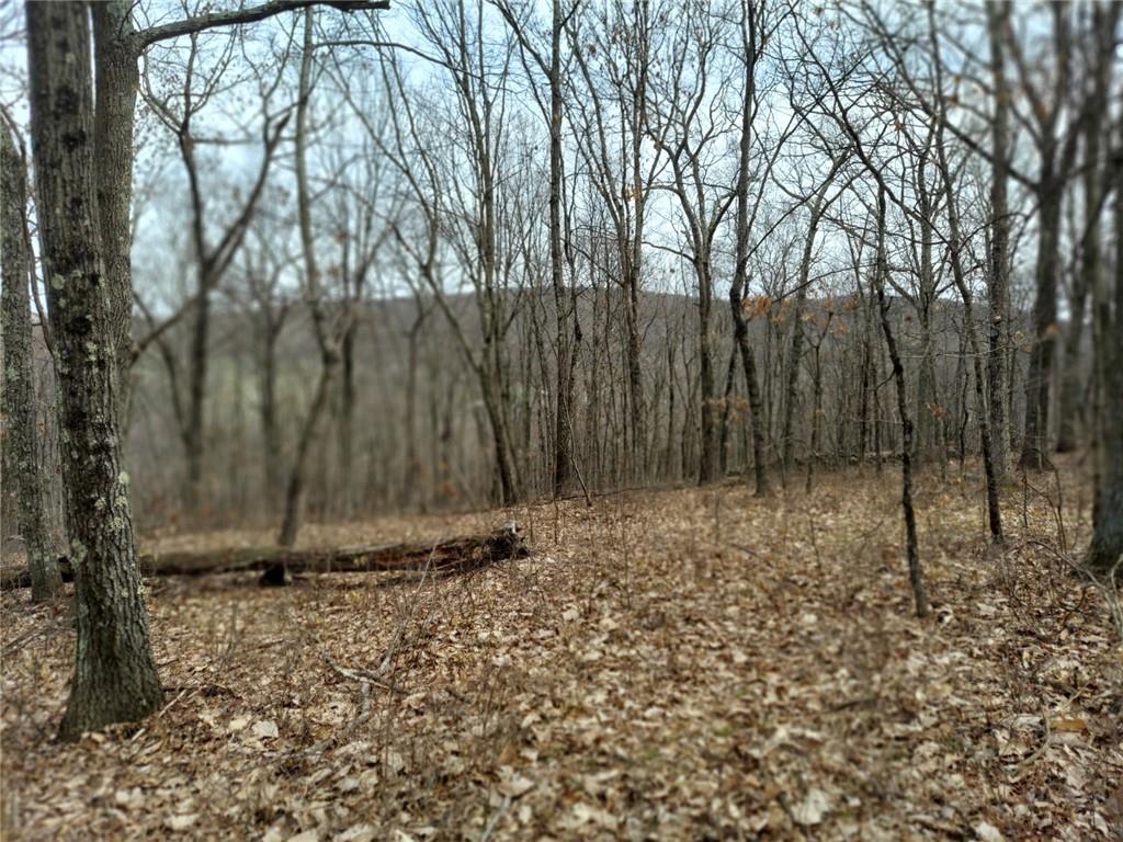 489 Grape Hollow Road Holmes, NY 12531 - Photo 14 of 24