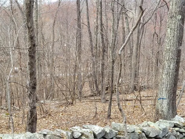 $590,000 | 489 Grape Hollow Road, Holmes, NY 12531