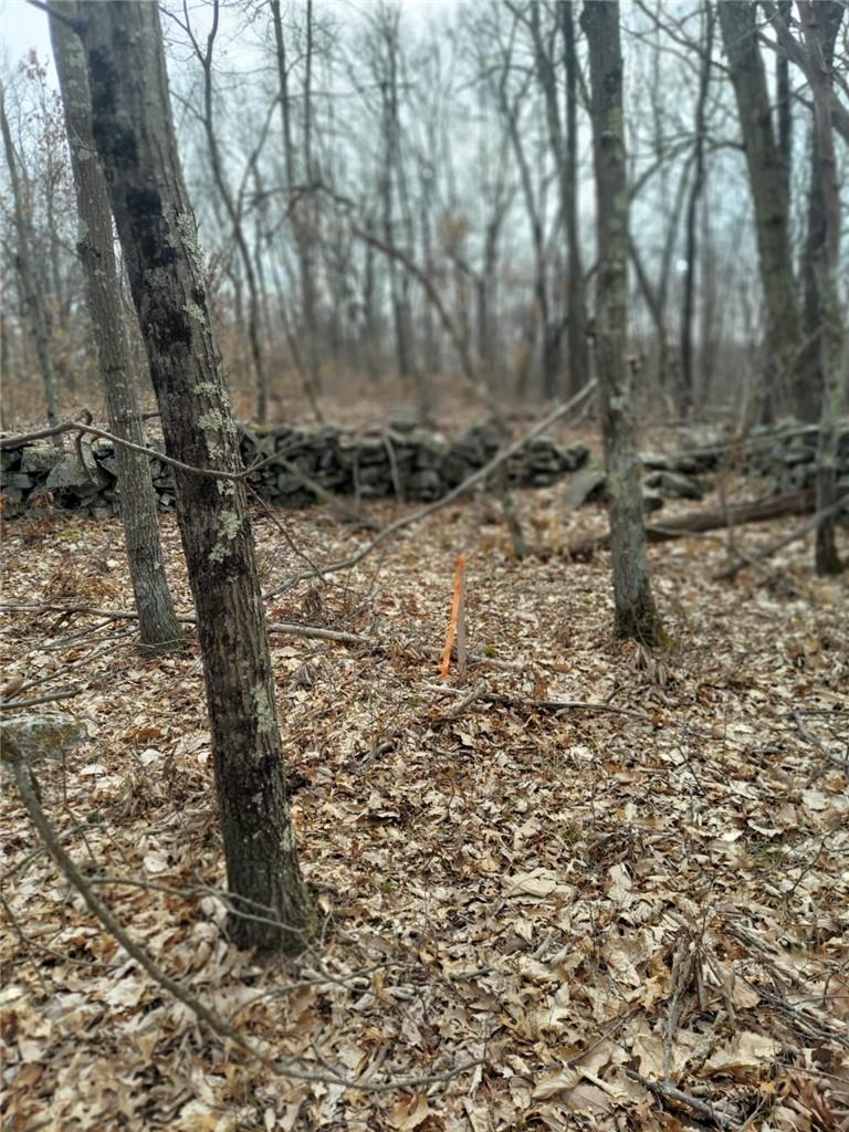 489 Grape Hollow Road Holmes, NY 12531 - Photo 16 of 24