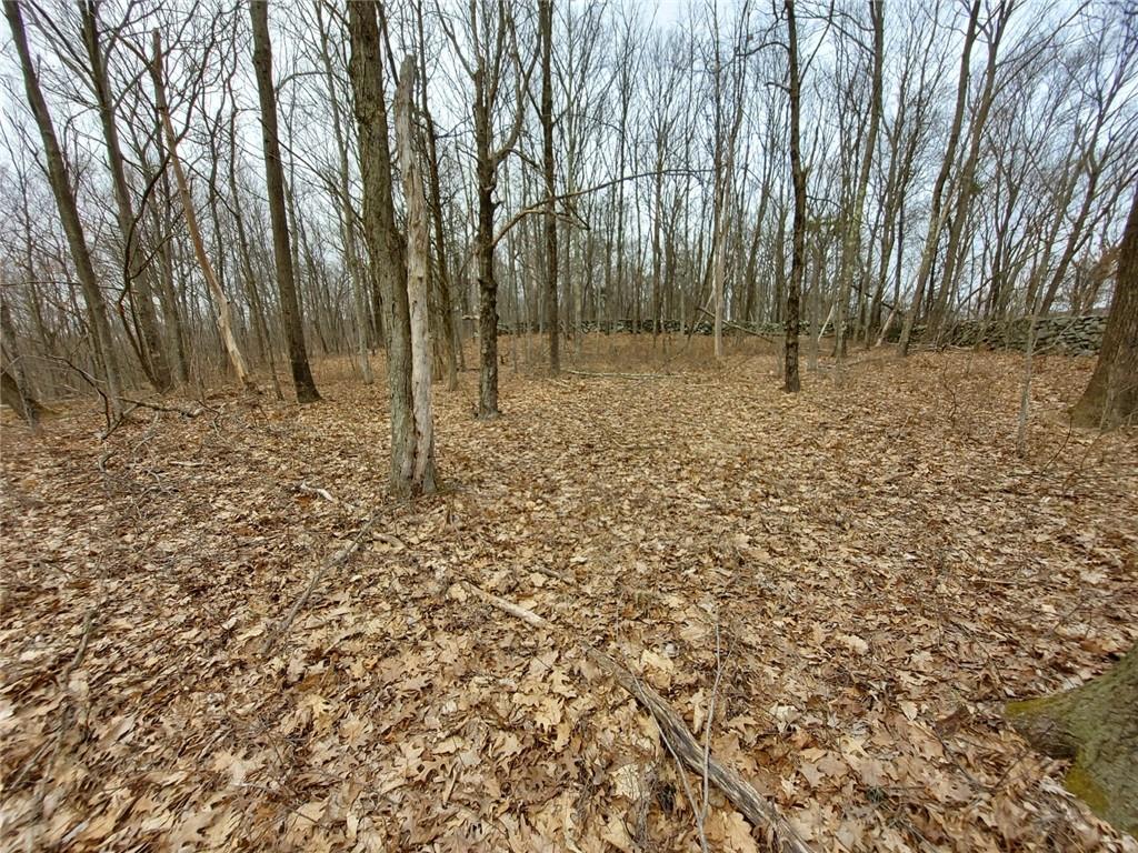 489 Grape Hollow Road Holmes, NY 12531 - Photo 21 of 24