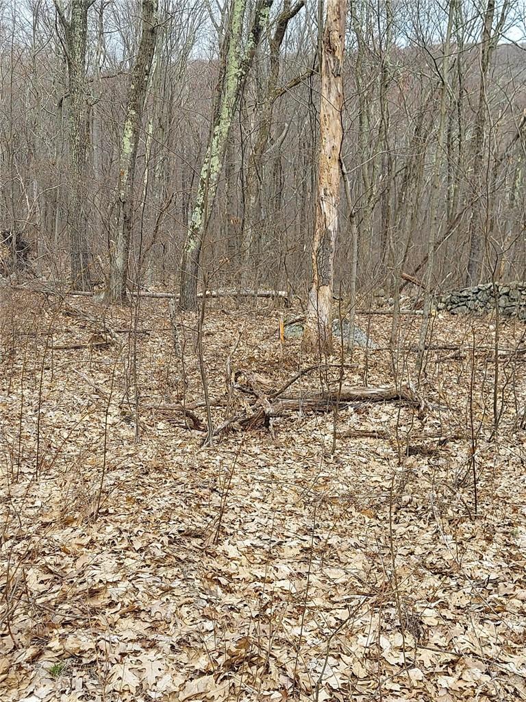 489 Grape Hollow Road Holmes, NY 12531 - Photo 23 of 24