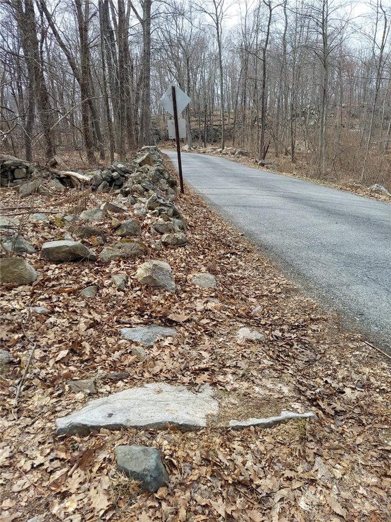 489 Grape Hollow Road Holmes, NY 12531 - Photo 5 of 24