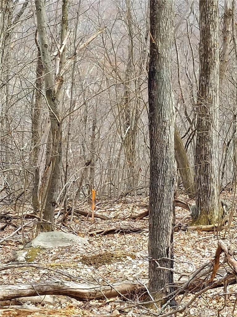 489 Grape Hollow Road Holmes, NY 12531 - Photo 6 of 24