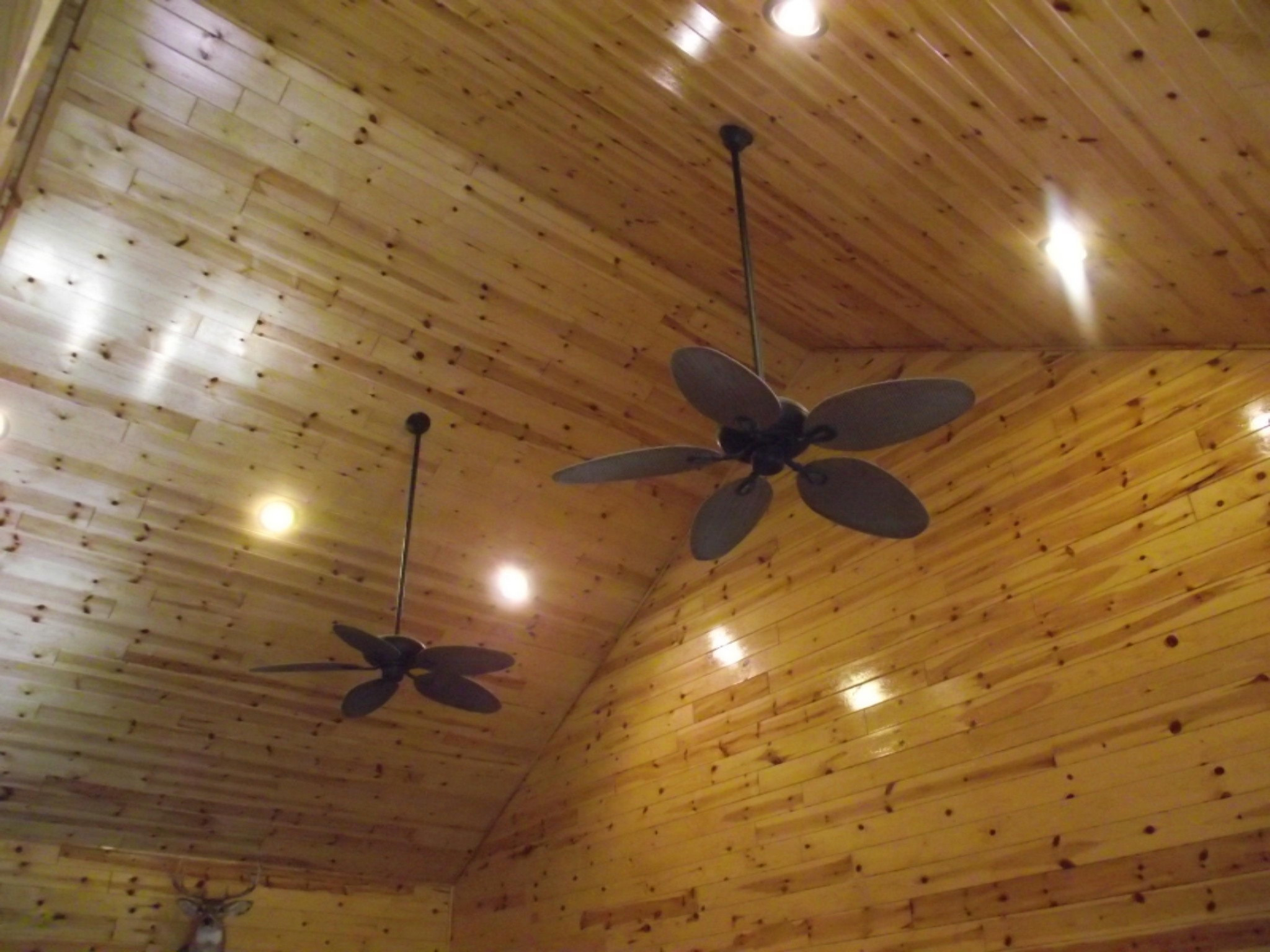16042 Flarity Road Brethren, MI 49619 - Photo 14 of 36 DSCF4401