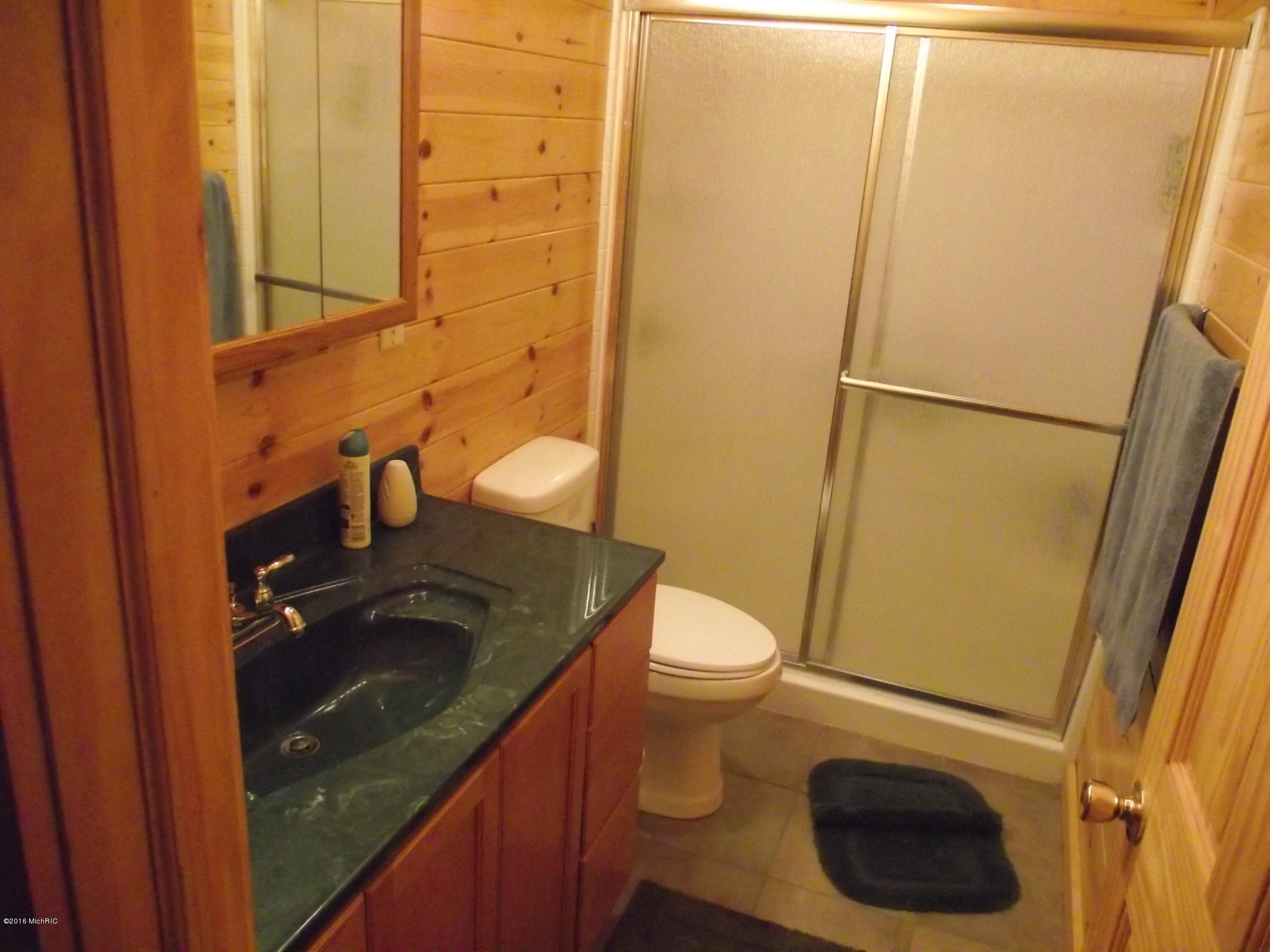 16042 Flarity Road Brethren, MI 49619 - Photo 24 of 36 DSCF4381