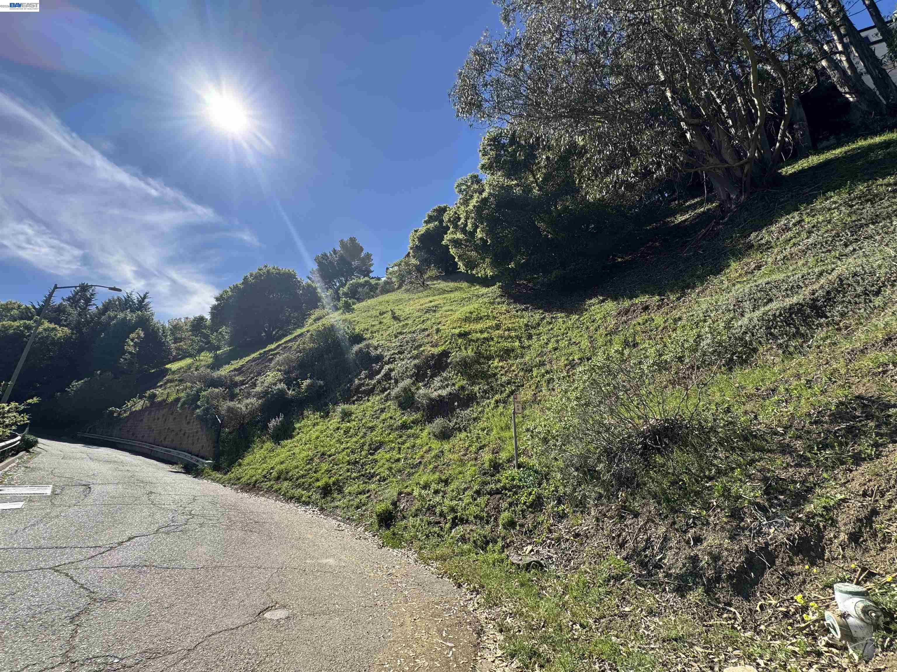 0 Charing Cross Road Berkeley, CA 94705 - Photo 3 of 19 a view of a garden