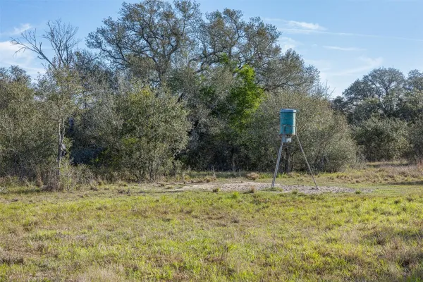 a view of a field with an trees