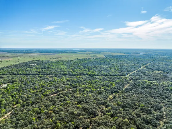 $1,999,999 | 1746 County Road 103, Columbus, TX 78934