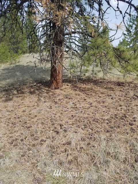 66 Tomanna Road Tonasket, WA 98855 - Photo 14 of 20 Gallery Image 14