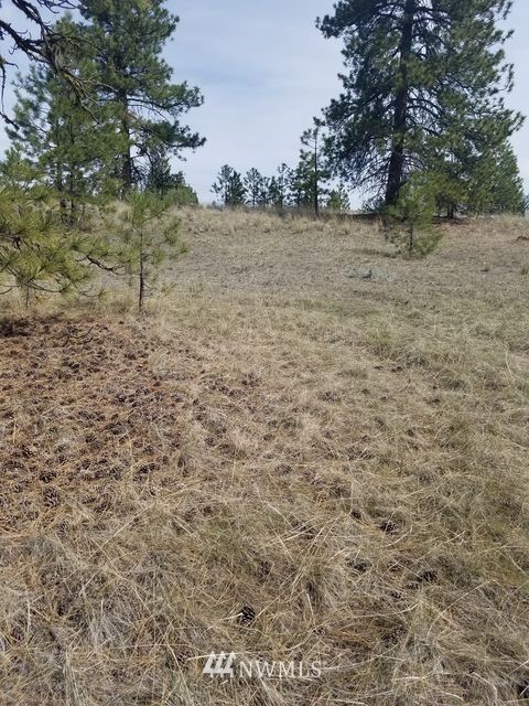 66 Tomanna Road Tonasket, WA 98855 - Photo 16 of 20 Gallery Image 16