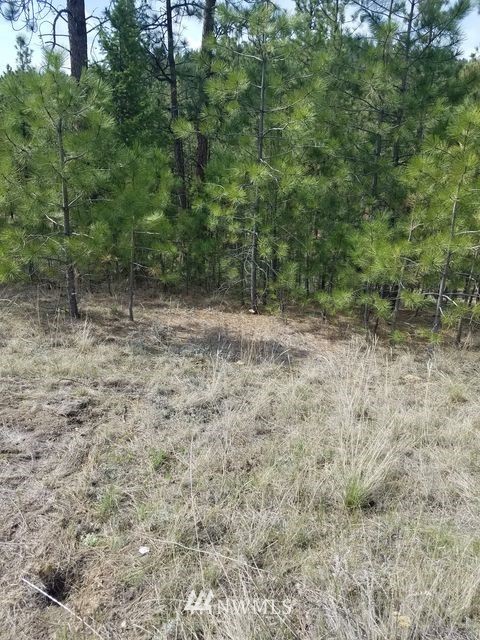 66 Tomanna Road Tonasket, WA 98855 - Photo 17 of 20 Gallery Image 17