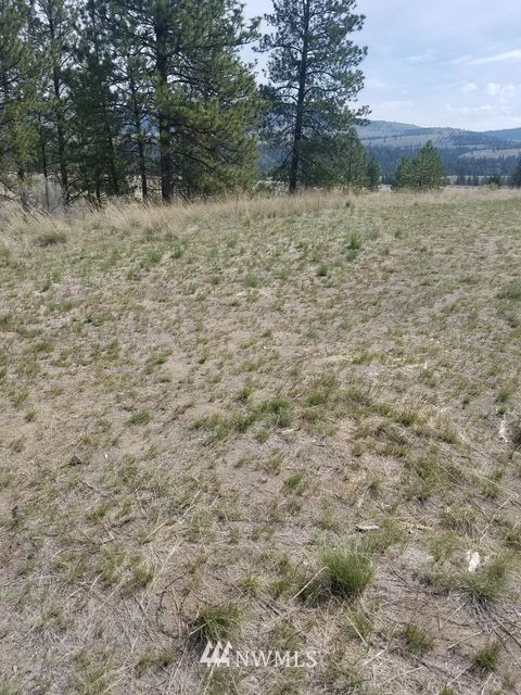 66 Tomanna Road Tonasket, WA 98855 - Photo 19 of 20 Gallery Image 19