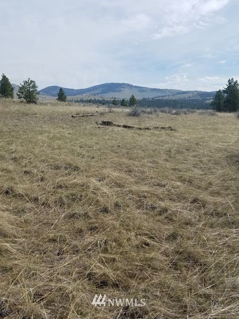 66 Tomanna Road Tonasket, WA 98855 - Photo 6 of 20 Gallery Image 6