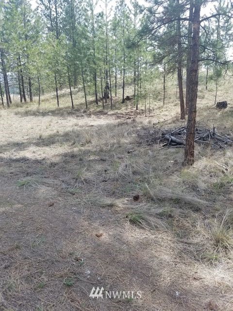 66 Tomanna Road Tonasket, WA 98855 - Photo 7 of 20 Gallery Image 7