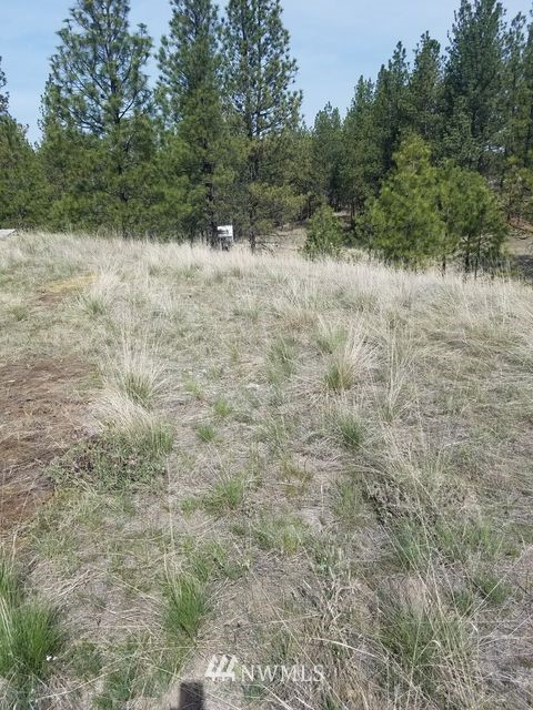 66 Tomanna Road Tonasket, WA 98855 - Photo 8 of 20 Gallery Image 8