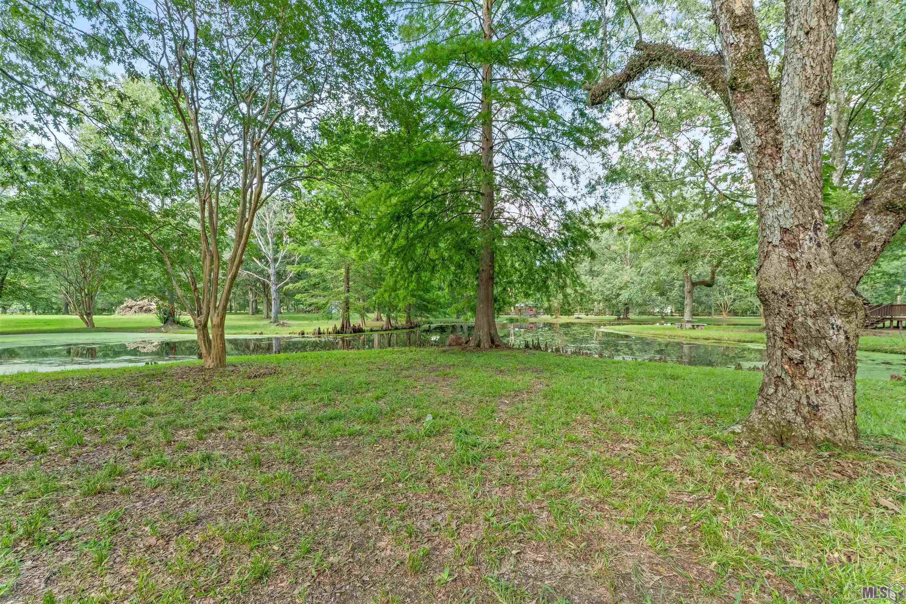 447 Sandy Springs Lane Jackson, LA 70748 - Photo 43 of 51